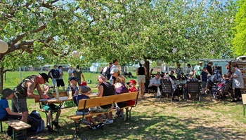 Auf einer Wiese unter blühenden Bäumen sitzen etliche Menschen und machen Picknick.
